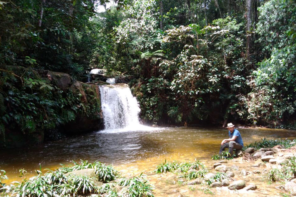 catarata