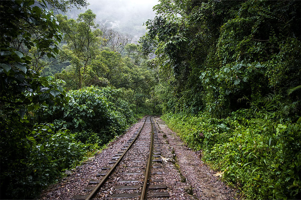 inka-jungle-1