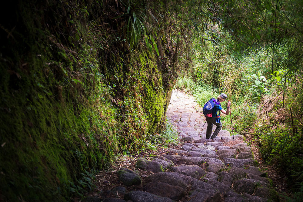 inka-jungle-2